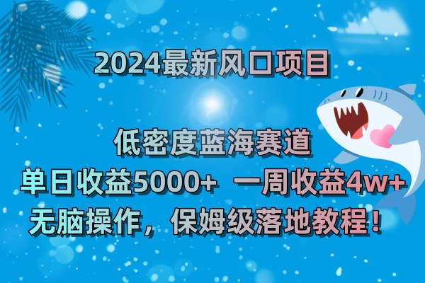 2024最新风口项目 低密度蓝海赛道，日收益5000+周收益4w+ 无脑操作，保…