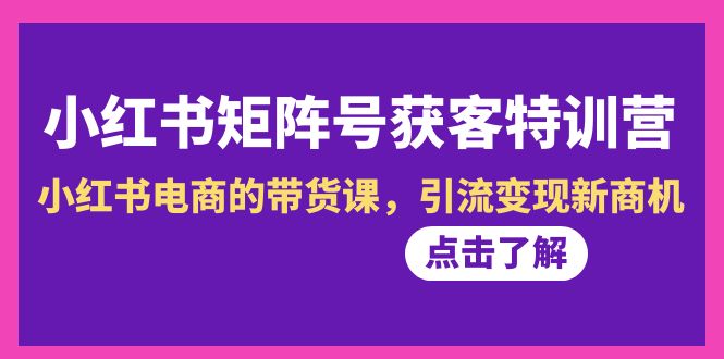 ，小红书电商的带货课，引流变现新商机