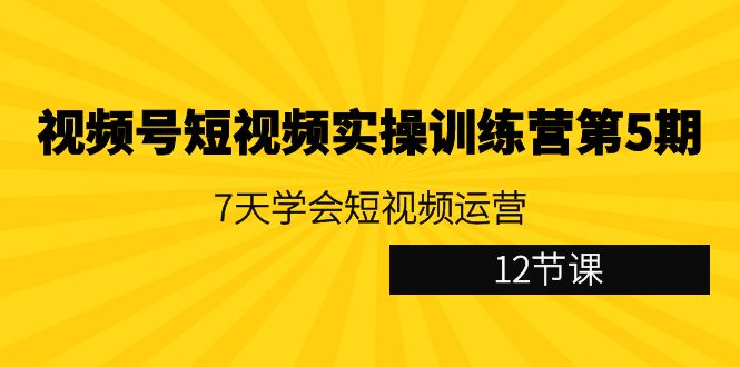 ：7天学会短视频运营（12节课）