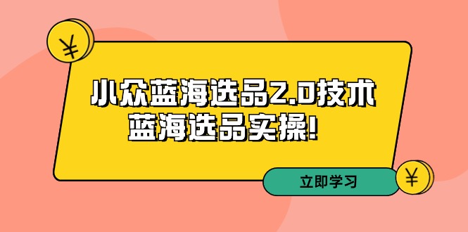 ：小众蓝海选品2.0技术-蓝海选品实操！