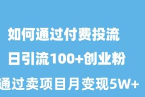 如何通过付费投流日引流100+创业粉月变现5W+