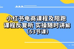 ）小红书电商课程陪跑课 课程反复听 实操随时讲解 （53节课）