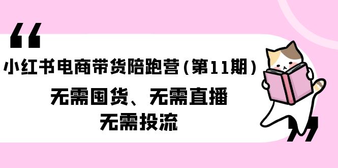 小红书电商带货陪跑营(第11期)无需囤货直播投流（送往期10套）