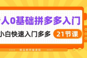 新人0基础拼多多入门，​纯小白快速入门多多（21节课）