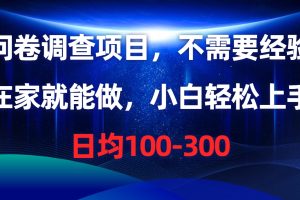 问卷调查项目，不需要经验，在家就能做，小白轻松上手，日均100-300