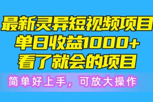 最新灵异短视频项目，单日收益1000+看了就会的项目，简单好上手可放大操作