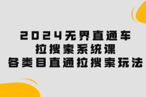 2024无界直通车·拉搜索系统课：各类目直通车 拉搜索玩法！