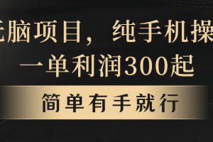 无脑项目，一单几百块，轻松月入5w+，看完就能直接操作