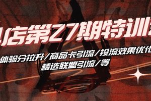 特训营 体验分拉升/商品卡引流/投流效果优化/精选联盟引流/等