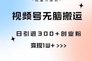 视频号无脑搬运日引300+创业粉，变现1W+可批量复制