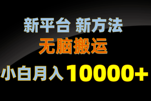 新平台新方法，无脑搬运，月赚10000+，小白轻松上手不动脑