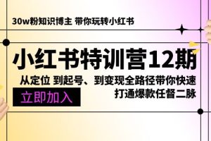 ：从定位 到起号、到变现全路径带你快速打通爆款任督二脉