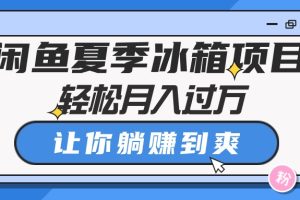 闲鱼夏季冰箱项目，轻松月入过万，让你躺赚到爽