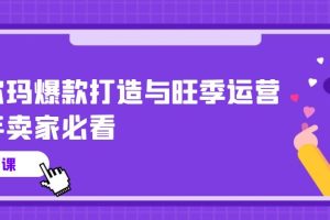 沃尔玛 爆款打造与旺季运营，新手卖家必看（11节视频课）