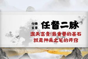 某付费文章《任督 二脉 泼天富贵|最重要的基石 就是神来之笔的开窍|万字》