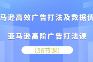 亚马逊 高效广告打法及数据优化，亚马逊高阶广告打法课（36节）