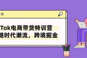 TikTok电商带货特训营，跟随时代潮流，跨境掘金（8节课）