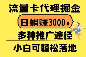 流量卡代理掘金，日躺赚3000+，首码平台变现更暴力，多种推广途径，新…