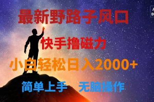 最新风口！快手撸磁力，野路子，小白无脑操作日入2000+