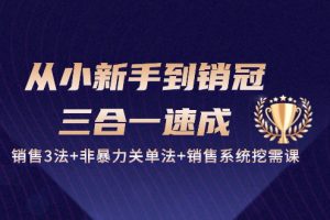 从小新手到销冠 三合一速成：销售3法+非暴力关单法+销售系统挖需课 (27节)