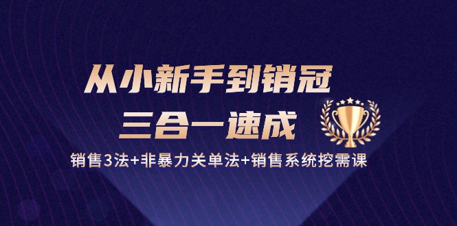 从小新手到销冠 三合一速成：销售3法+非暴力关单法+销售系统挖需课 (27节)