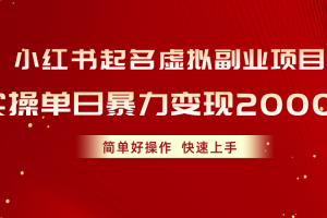 小红书起名虚拟副业项目，实操单日暴力变现2000+，简单好操作，快速上手