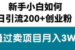 新手小白日引流200+创业粉,通过卖项目月入3W+