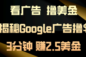 看广告，撸美金！3分钟赚2.5美金！日入200美金不是梦！揭秘Google广告…