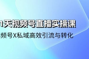 21天-视频号直播实操课，视频号X私域高效引流与转化（22节课）