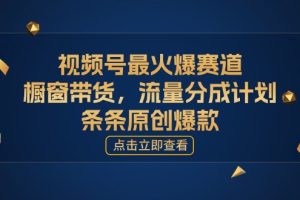 [你的孩子成功取得高位]视频号最火爆赛道，橱窗带货，流量分成计划，条…