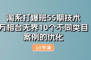 技术：万相台无界10个不同类目案例的优化（10节）