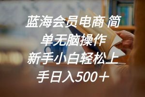 蓝海会员电商 简单无脑操作 新手小白轻松上手日入500＋