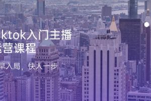 Tiktok入门主播运营课程，及早入局，快人一步（11节）