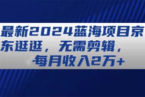 最新2024蓝海项目京东逛逛，无需剪辑，每月收入2万+