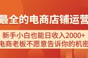 电商店铺运营教学，新手小白也能日收入2000+，电商老板不愿意告诉你的机密