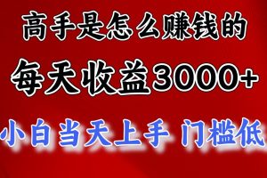 高手是怎么赚钱的，一天收益3000+ 这是穷人逆风翻盘的一个项目，非常…