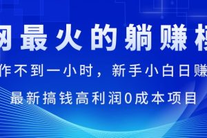 全网最火的躺赚模式，每天操作不到一小时，新手小白日赚1500+，最新搞…