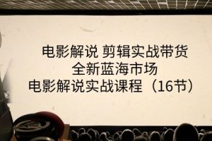 电影解说 剪辑实战带货全新蓝海市场，电影解说实战课程（16节）