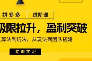 拼多多·进阶课：极限拉升/盈利突破：从算法到玩法 从玩法到团队搭建-18节