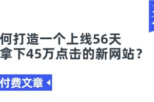 某付费文章《如何打造一个上线56天就拿下45万点击的新网站？》