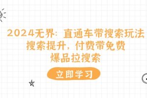 2024无界：直通车 带搜索玩法，搜索提升，付费带免费，爆品拉搜索