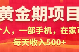 项目，电商搞钱！一个人，一部手机，在家可做，每天收入500+