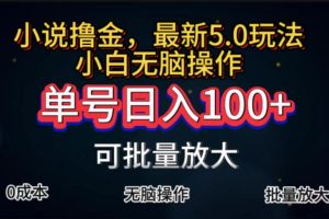 全自动小说撸金，单号日入100+小白轻松上手，无脑操作