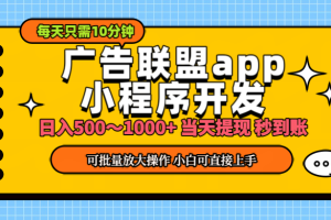 小程序开发 广告赚钱 日入500~1000+ 小白轻松上手！