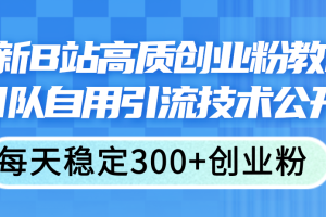 最新B站高质创业粉教程，团队自用引流技术公开，每天稳定300+创业粉