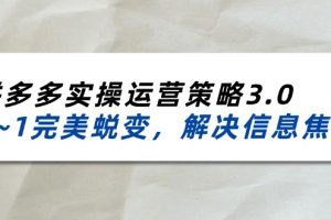 2024_2025拼多多实操运营策略3.0，0~1完美蜕变，解决信息焦虑（38节）