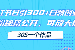 小红书日引300+高质白领创业粉，可放大操作，爆粉秘籍！30s一个作品