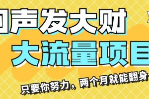 闷声发大财，大流量项目，月收益过3万，只要你努力，两个月就能翻身