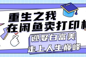 重生之我在闲鱼卖打印机，月入过万，迎娶白富美，走上人生巅峰