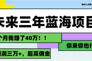 未来三年，蓝海赛道，月入3万+